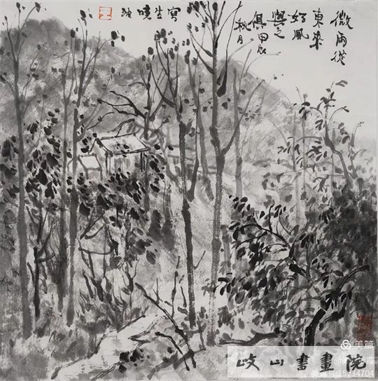 79.jpg